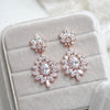 Chandelier style crystal drop CZ statement earring - DAISY - Treasures by Agnes